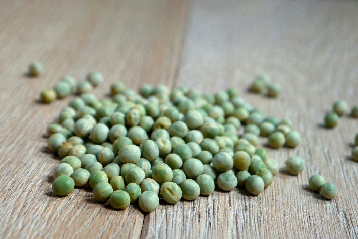 La pasta e piselli che profuma di Napoli: ecco la ricetta tradizionale ricca di gusto e anima