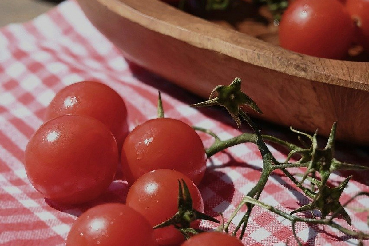Pomodori confit in 15 minuti: il forno e la friggitrice ad aria valorizzano ogni antipasto